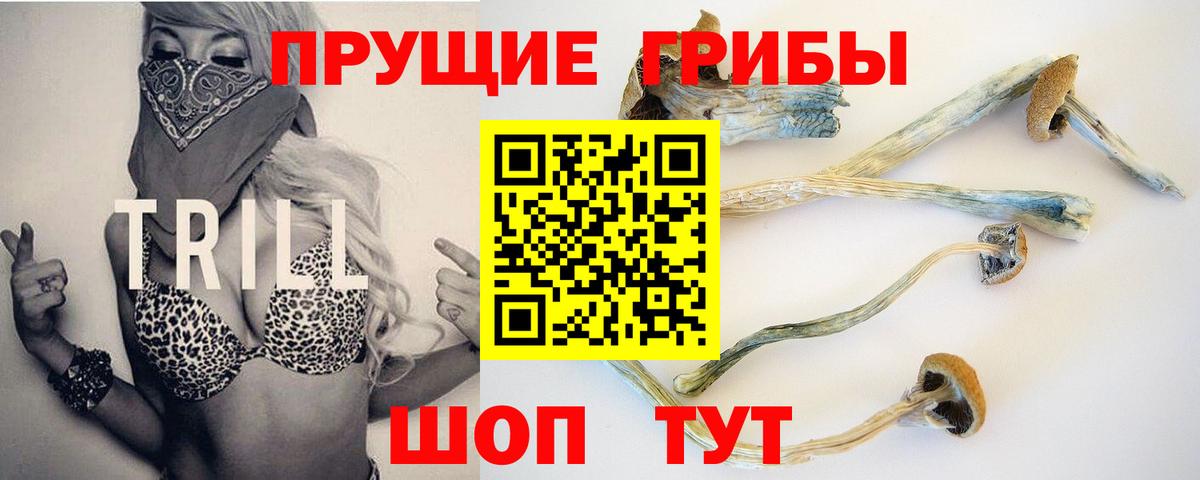 Псилоцибиновые грибы прущие грибы  Вход с VPN  Рубцовск  Псилоцибиновые грибы GOLDEN TEACHER 