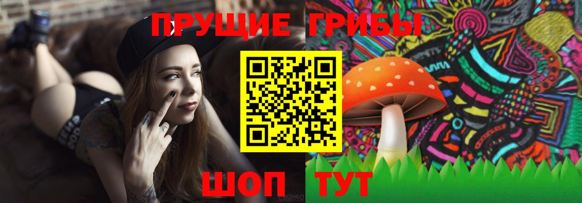 Галлюциногенные грибы GOLDEN TEACHER Рубцовск